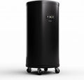 KLARSTEIN Beersafe L - Mini frigo in acciaio inox con display LED, ideale per bevande e vini, capacit¨¤ 70 litri, temperatura regolabile 0-16¡ãC